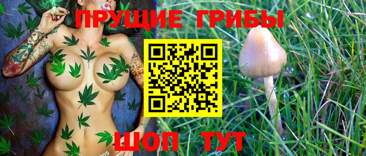 Псилоцибиновые грибы ЛСД Елизово