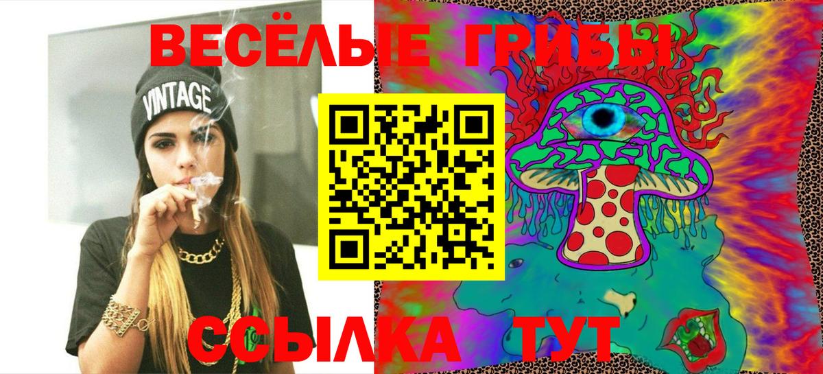 Галлюциногенные грибы Magic Shrooms  Вход с VPN  Елизово 
