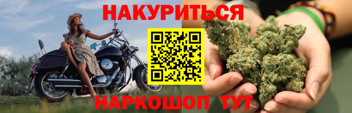 Бошки Шишки план  Бошки марихуана тримм  Бошки Шишки планчик  Вход с VPN  Елизово 